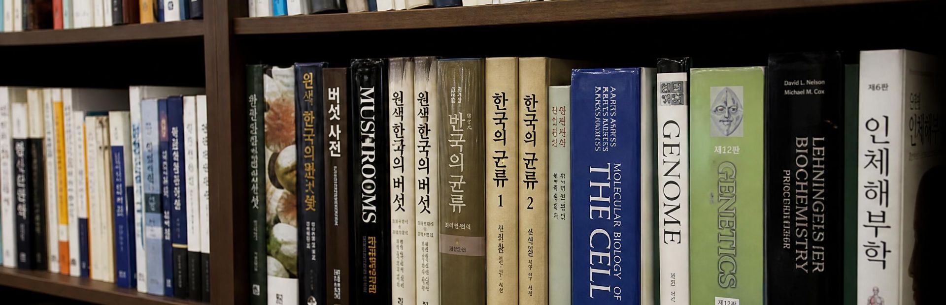 기운찬 인사이트 연구 도서
