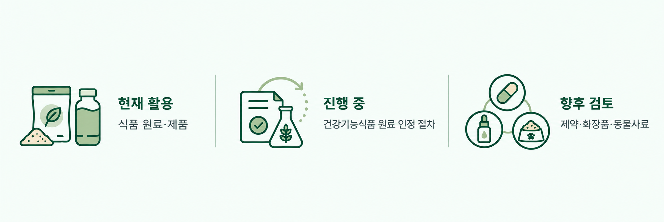 현재 활용: 식품 원료·제품. 진행 중: 건강기능식품 원료 인정 절차. 향후 검토: 제약·화장품·동물사료.